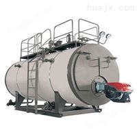 龙兴集团专业制造燃气蒸汽锅炉