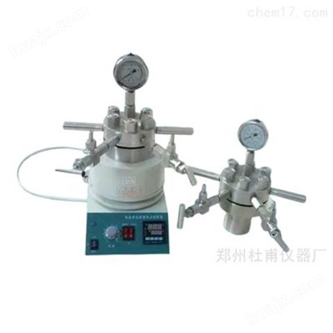 小型多功能高压反应釜可电动搅拌磁力搅拌
