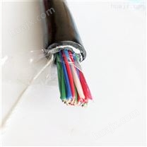 国标电子计算机电缆DJYP2R22屏蔽软电缆