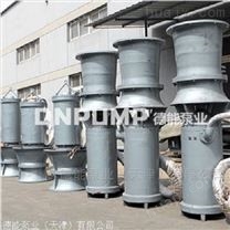 汛期长江河道排涝潜水泵简易型潜水轴流泵